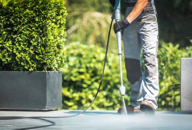 Best Graffiti Removal  in Benld, IL
