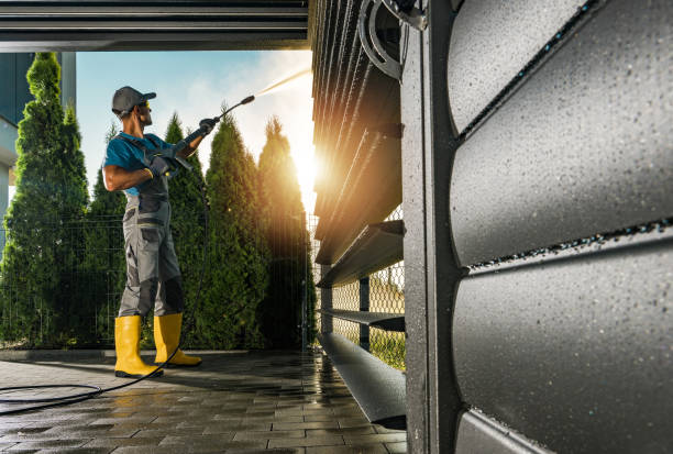 Best Dumpster Area Cleaning  in Benld, IL